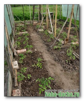 ����������� �������