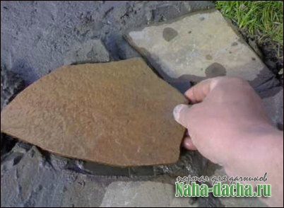 ����� ������� ������� �������