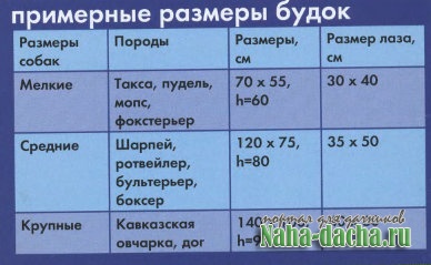 ������� ����� ������ ������