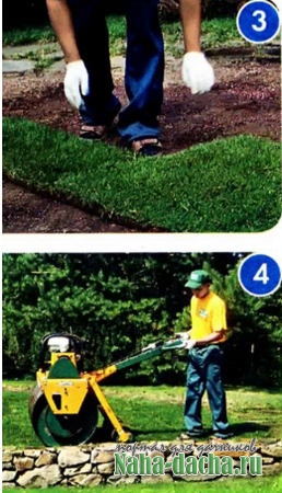 ����� � ������� ���������