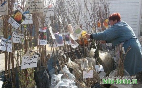 ���������� ��������